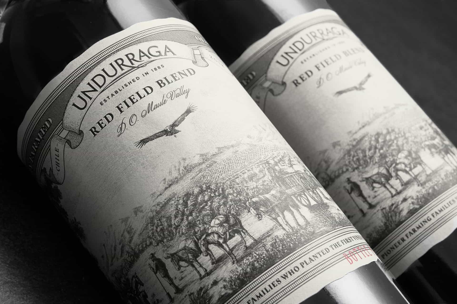 ad-lpm-cpg-interview-with-nano-alfonsin-graphic-designer-for-wine-and-spirits-7