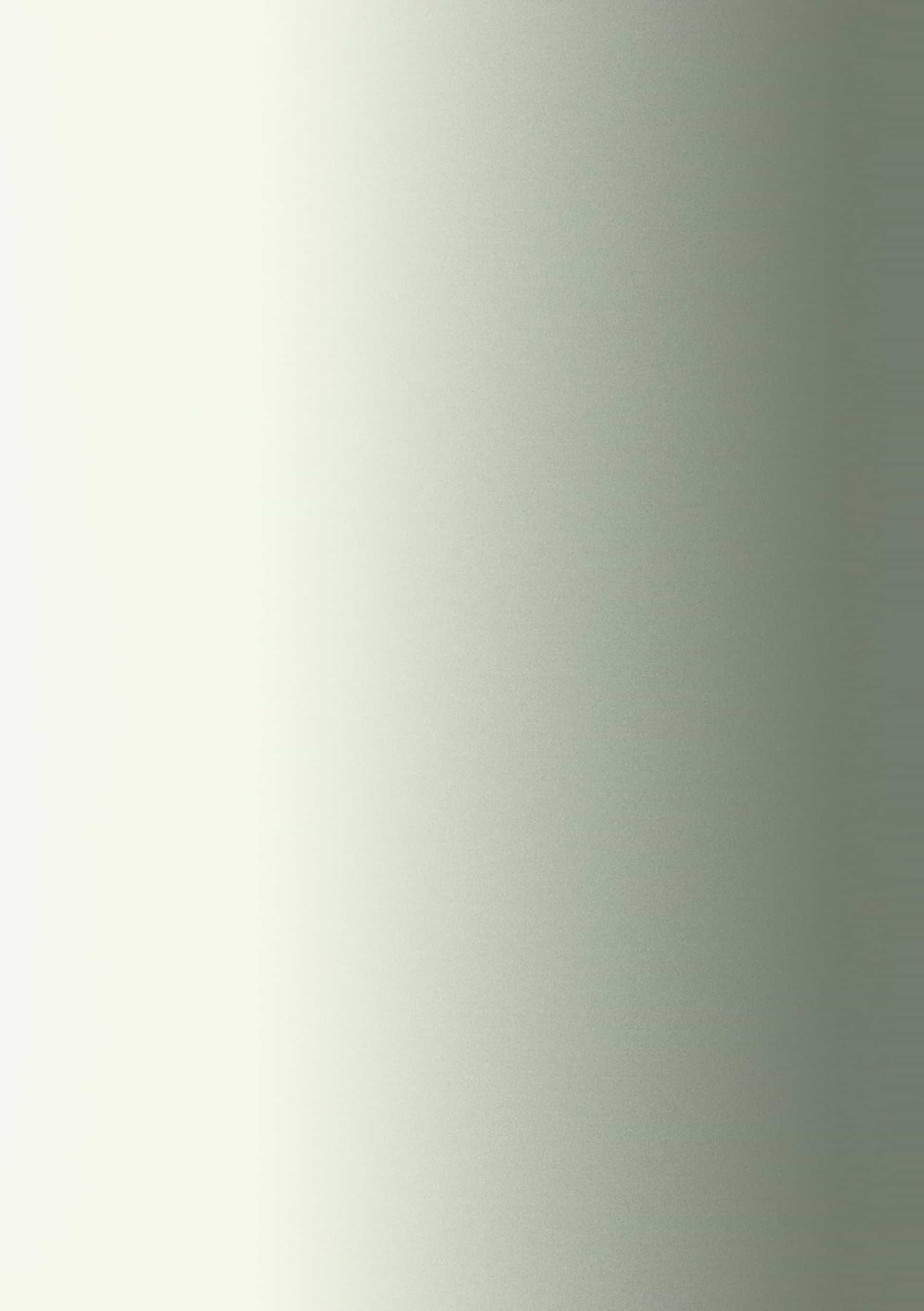 ad-lpm-cpg-fasson-mp-plus-silver-fsc-flat-swatch