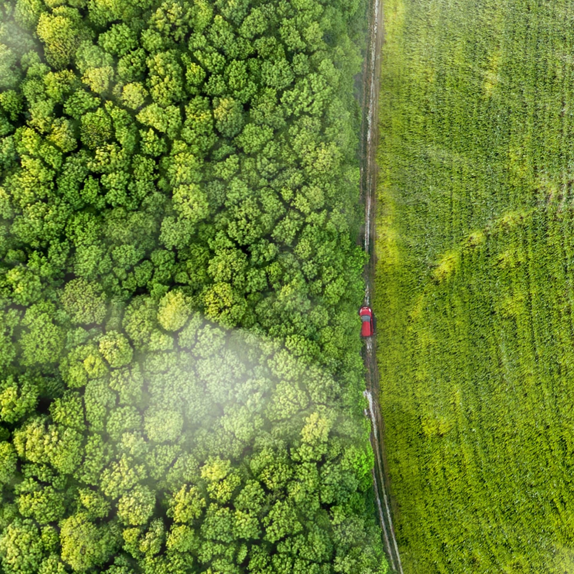 ad-lpm-cpg-aerial-trees-road-and-red-car-sustainability-thumbnail