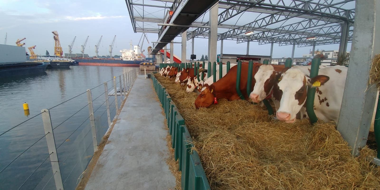 ad-lpm-cpg-reducing-the-footprint-of-floating-farm-2