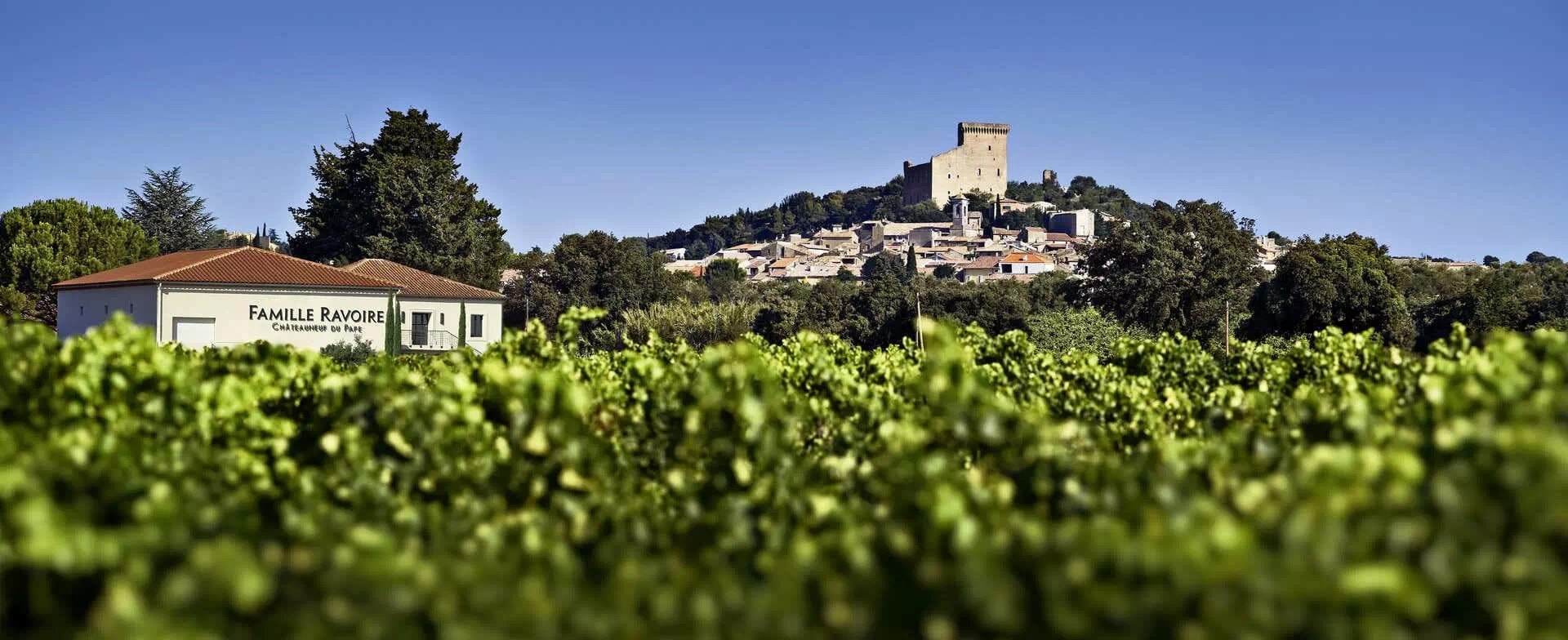 ad-lpm-cpg-sustainable-wine-famille-ravoire-1