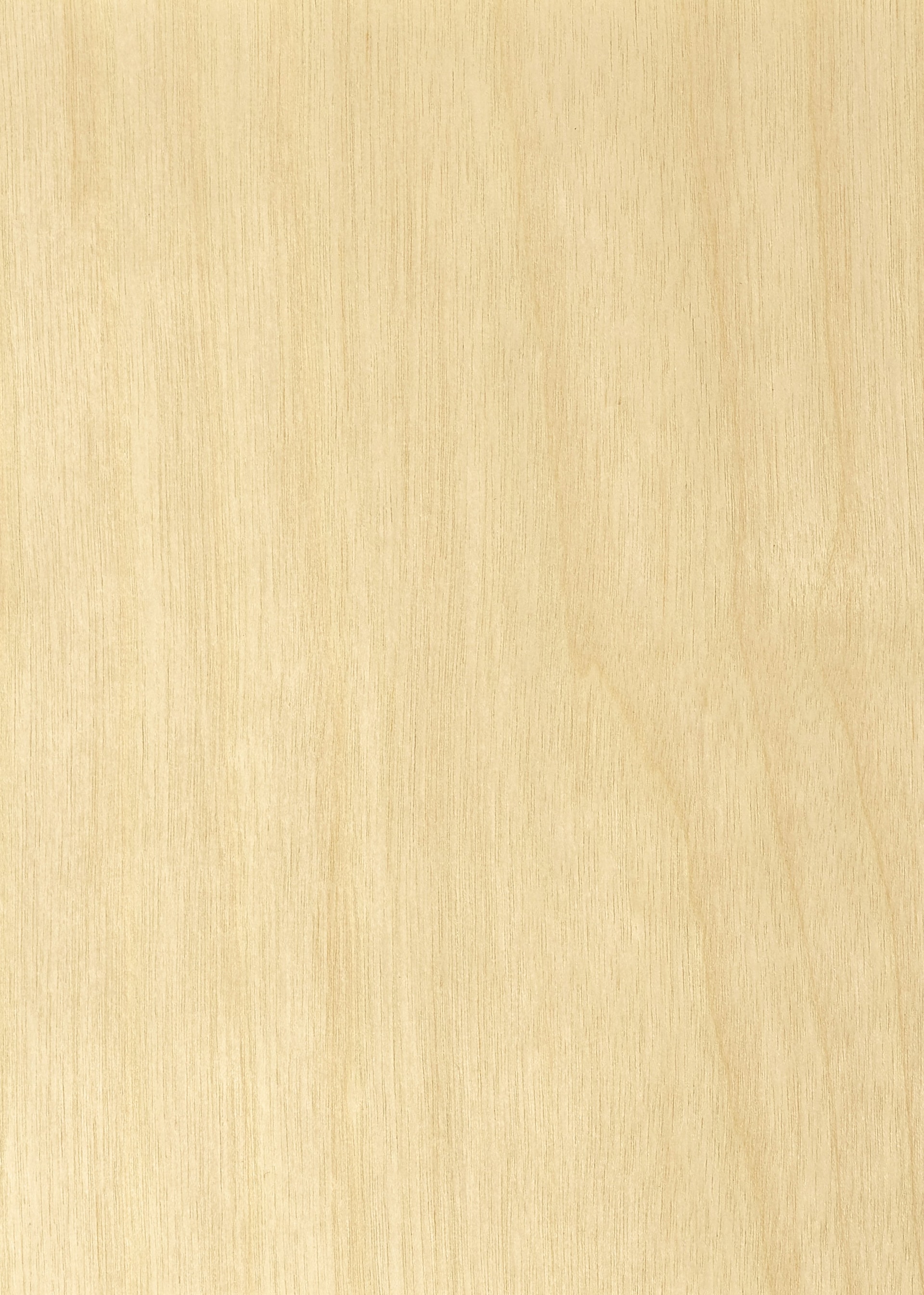 ad-lpm-cpg-fasson-birch-wood-flat-swatch