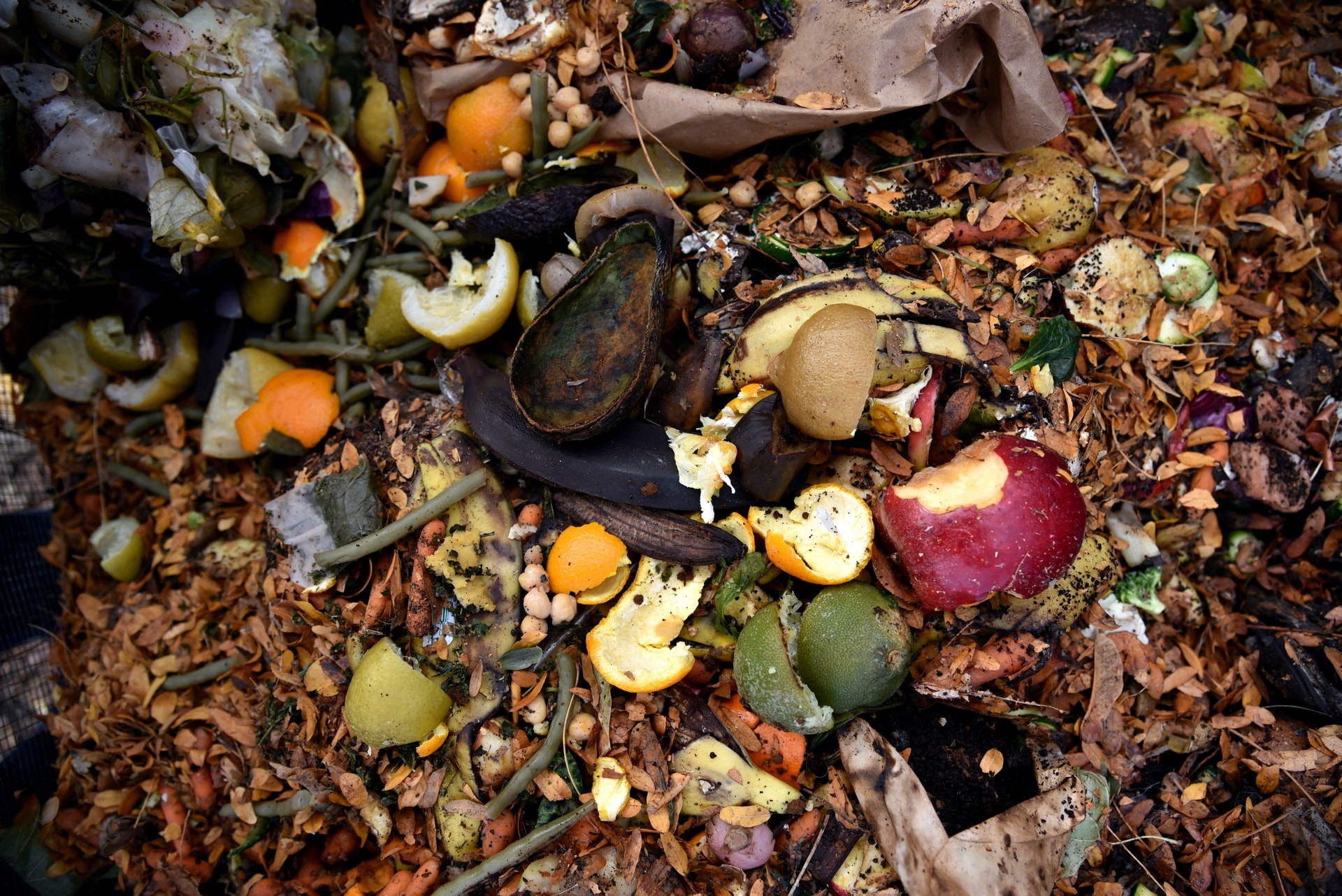ad-lpm-cpg-the-future-of-composting-1.jpg