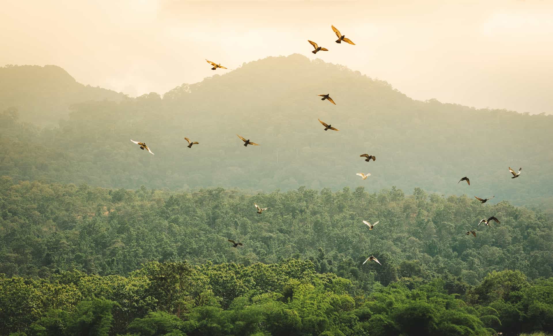 ad-lpm-eu-sustainability-shutterstock_1117748783-4500x300px-300dpi