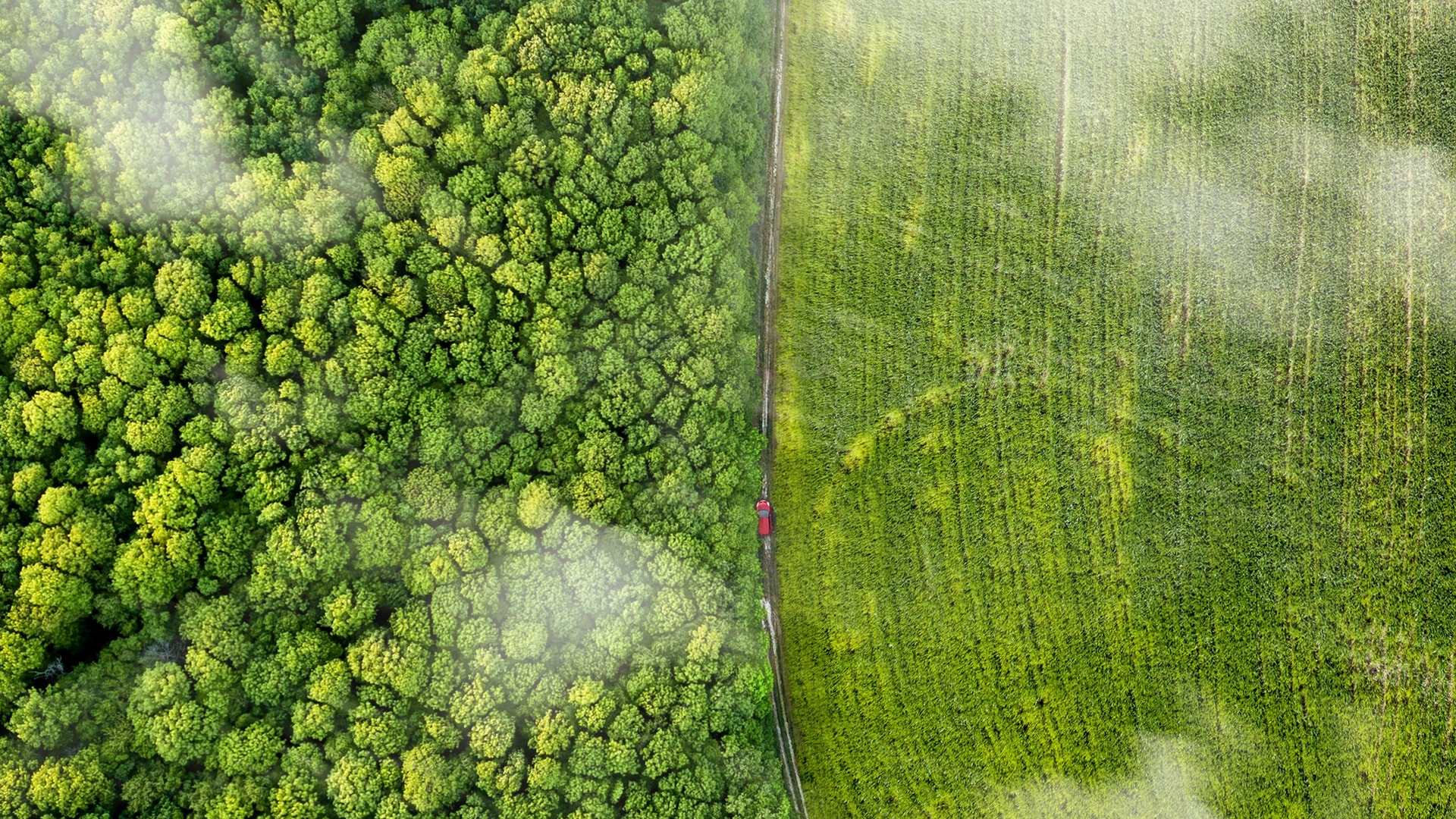 ad-lpm-cpg-aerial-trees-road-and-red-car-sustainability-sty2471417