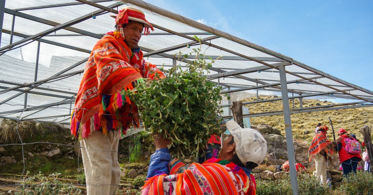 Celebrating Earth Day with Global Forest Generation