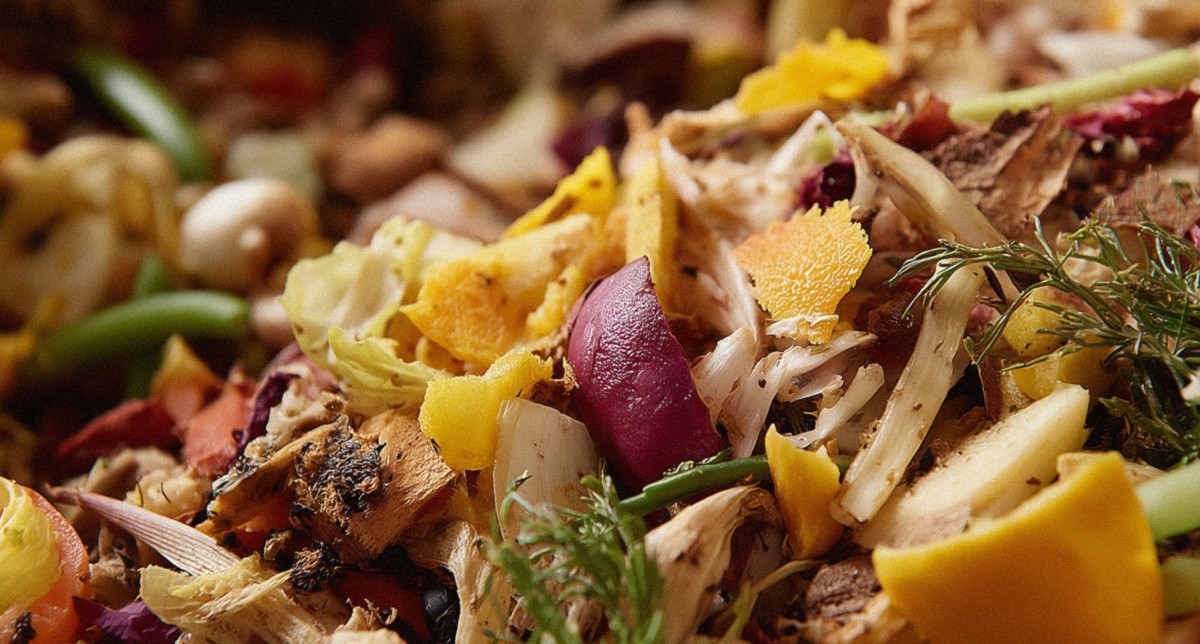 Packaging: The first line of defense against food spoilage and waste